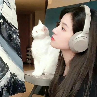 联邦调查局第一季