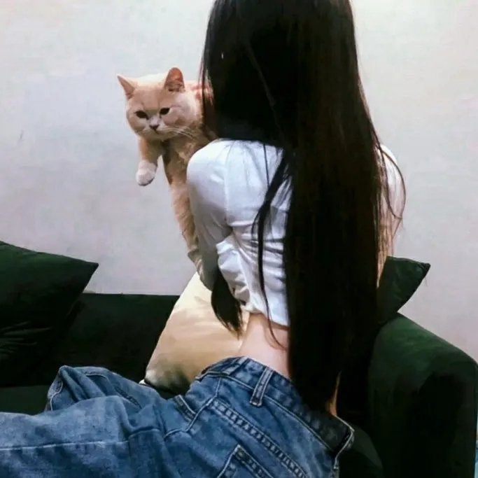 女黑侠木兰花粤语